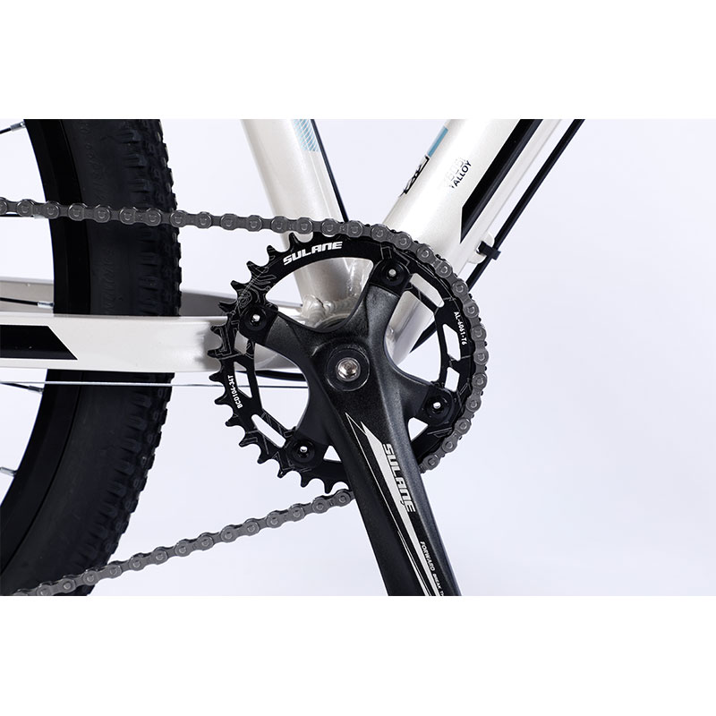 Large Bike Mountain Race Mountain Bike Speed featuring Al Cassette Hub For Dsic Brake