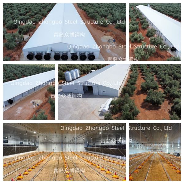 Prefab Steel Structure Sandwich Panel House Building For Poultry House