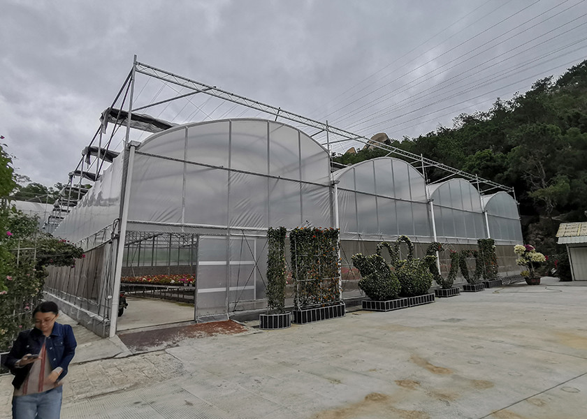 Industrial Flower Commercial High Tunnel Greenhouse With Fixed Roof Windows
