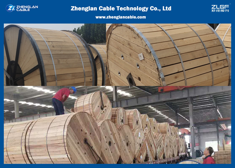 0.6/1KV Two Cores unarmoured XLPE Insulated Power Cables（CU/XLPE/LSZH/DSTA）Nominal Section：2*1.5~2*400mm²