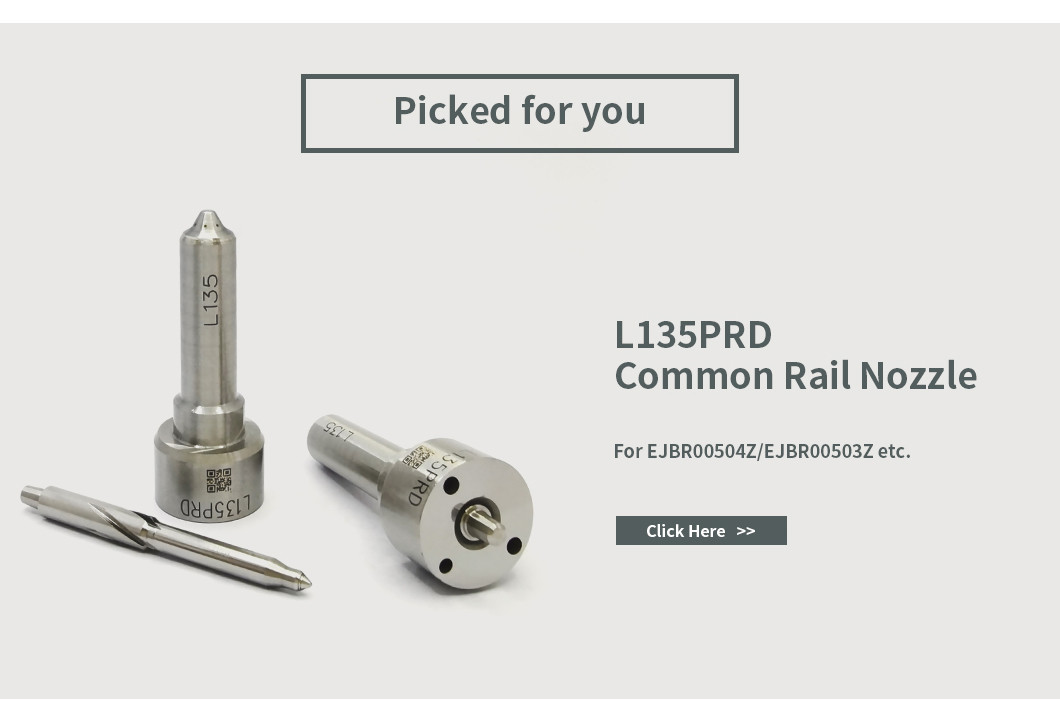 Nozzle-CVA Kit 7135-656 Delphi Injector Repair Kit For R00504Z With Nozzle L135PBD