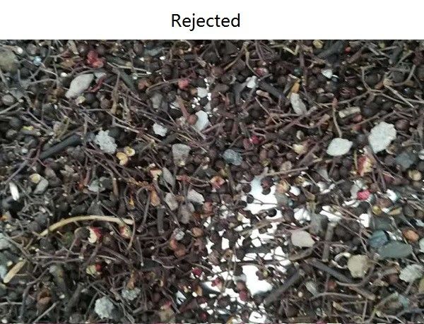 Digital Intelligent CCD image Spice Color Sorter