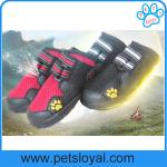 China Manufacturer Pet Supply Product Luxury Summer Cool Pet Dog Shoes