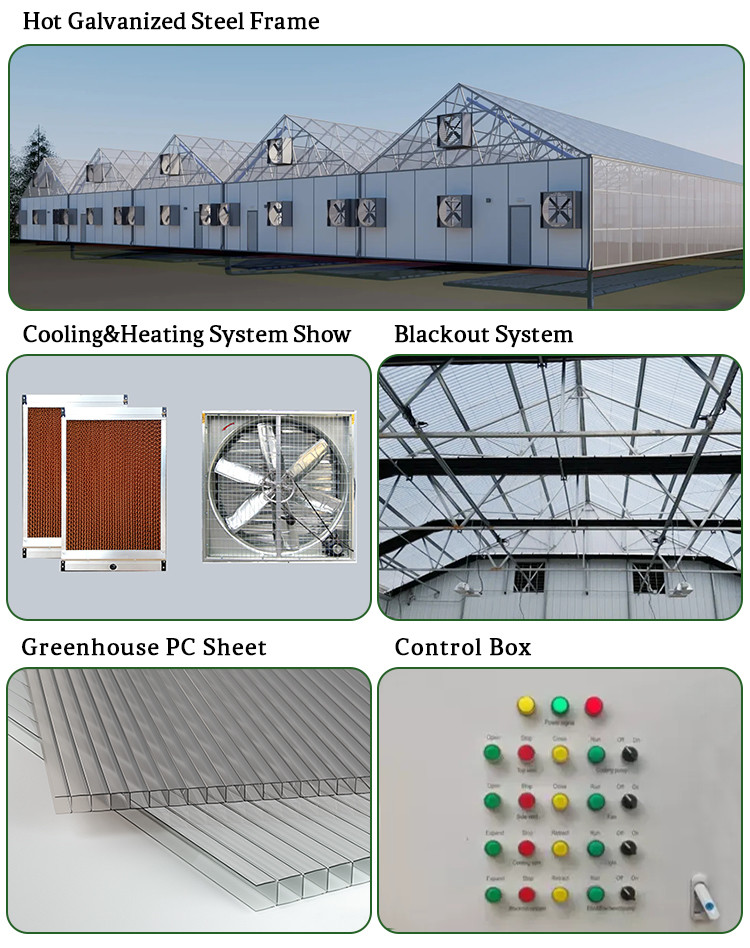 Ventilation System Polycarbonate Greenhouse PC Herbs Greenhouses With Blackout Curtain