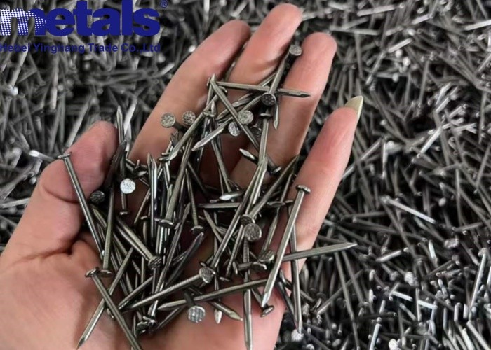 Carbon Steel Stainless Steel Nail Common Wire Various Surface Finishes