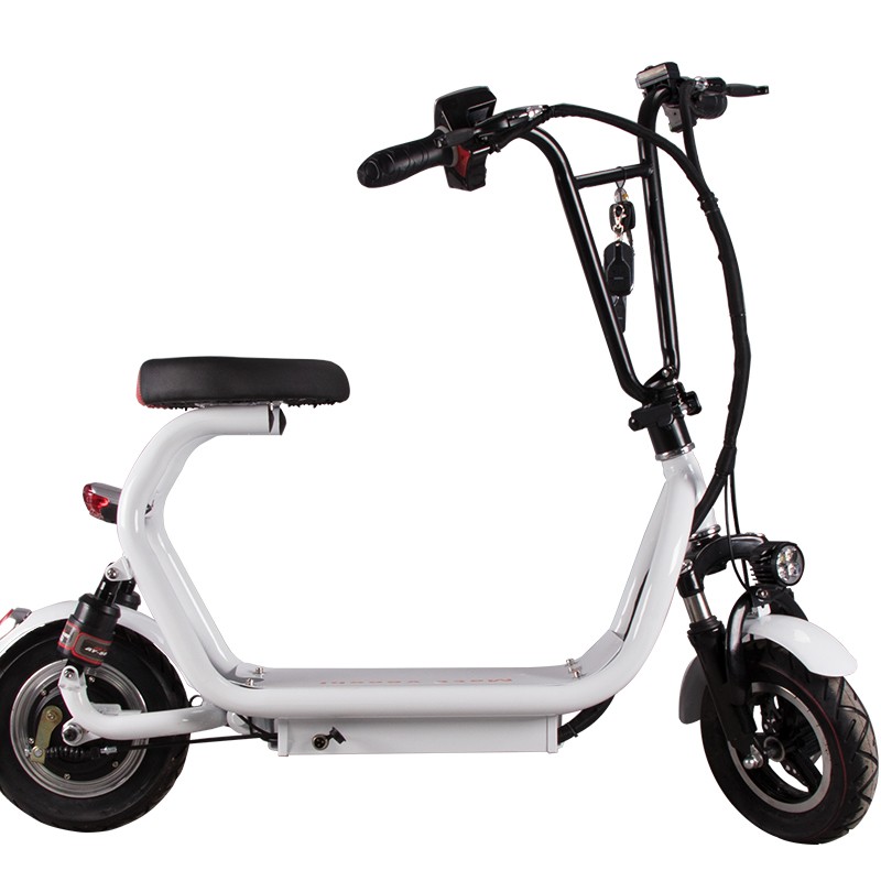 Citycoco Urban Electric Scooter 48V 8AH Lithium Battery 350W Pocket Electric Scooter