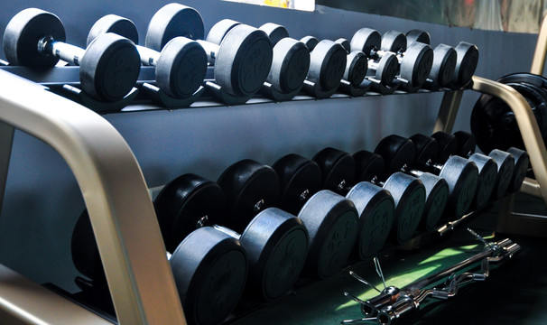 Befreeman Factory Direct Supply Gym Fitness Equipment Dumbbell Storage Rack