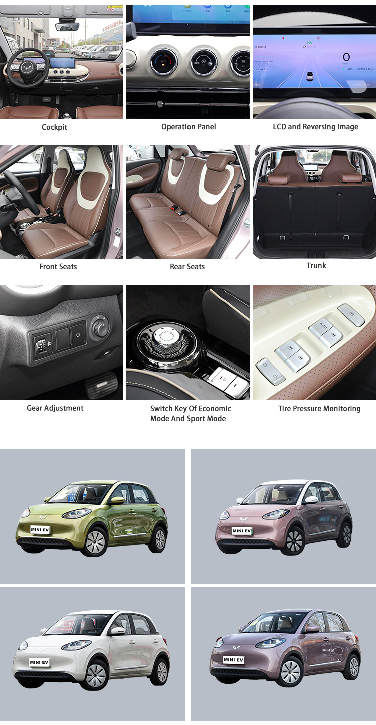 powerful mini eV cars eco friendly adult electric vehicle new energy