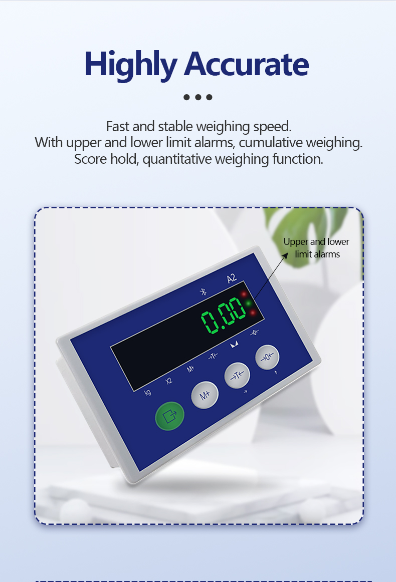 Embedded Meter Weighing Indicator with Customized ODM Support and AC/DC Power Supply