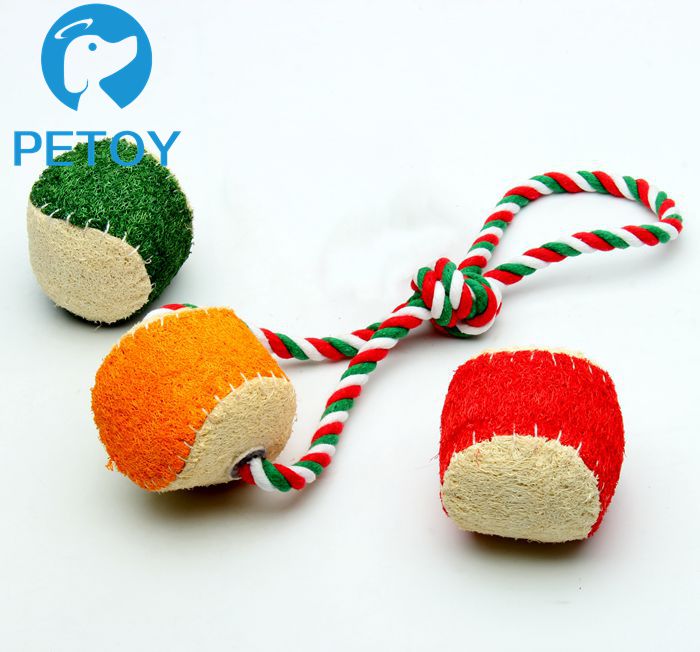 Eulaliopsis Binata Eco Durable Pet Toys Hard Chew For Pet Teeth Cleaning