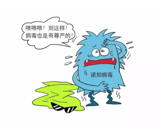 Stainless Steel Agricultural Mist Fogging Machine for Improved Crop Health and Yield