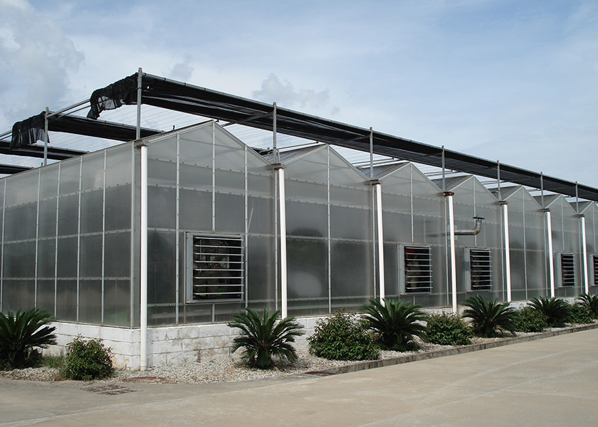 Corrosion-Resistant Waterproof Polycarbonate Sheet Geenhouse With Automatic Ventilation System, Ideal For Vegetable Growing