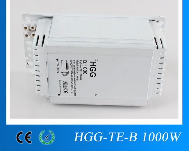 TE-B-1000W_02.jpg
