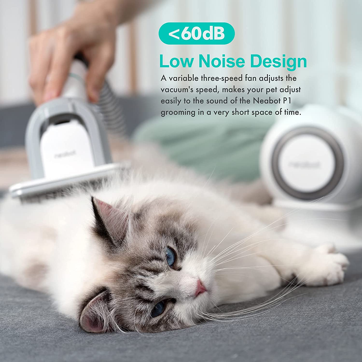 Pet Vacuum Cleaner With 5 In 1 Pet Grooming Kit And Vacuum Suction
