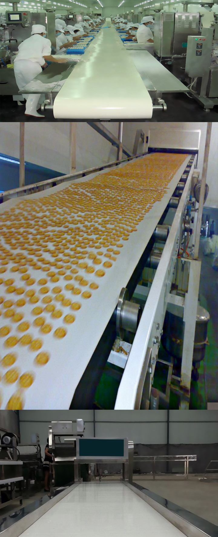 White Food Grade Adjustable Roller Conveyor Customized Size With Rubber Belt
