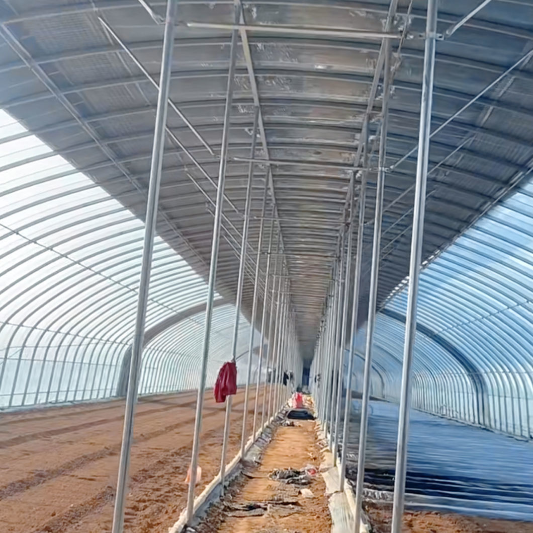 Innovative Agriculture Arches Tunnel Greenhouse