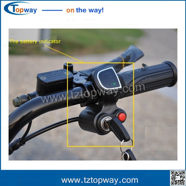 citycoco/seev/woqu 1000w with battery can be removed 18*9.5inch big tyre