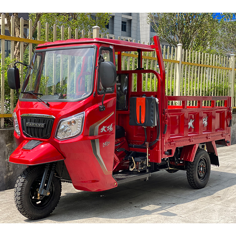 200cc/250cc/300cc Three Wheels Motorcycle with Single Cyclinder 4 Stroke Engine Type