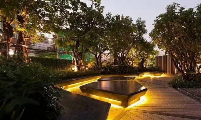 Flexible Fob COB Strip Light CRI90 8MM 5W 10W 15W 12V 24V COB LED Strip