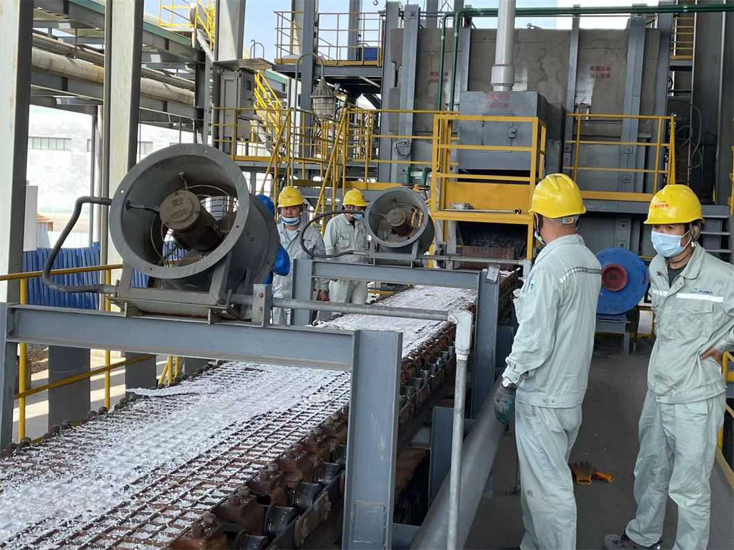 99.9% Burning Rate Salt Waste Management Combustion Technologies Automation Included Single Screw