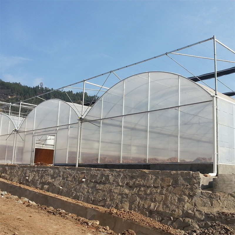 Durable Poly Tunnel Agricultural Multi-span Plastic Film Greenhouse For Vegetables