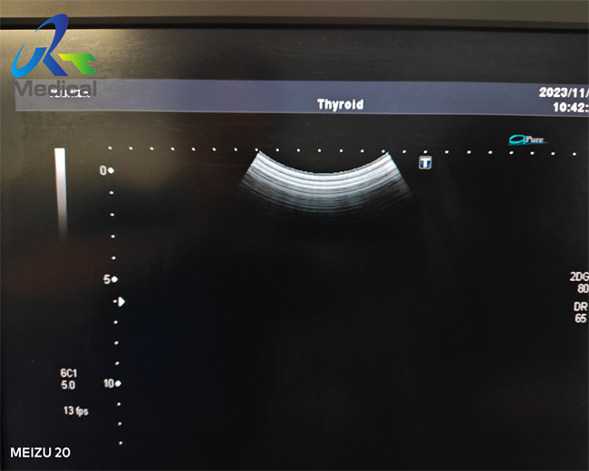Toshiba PVT-375BT Convex Array Transducer Diagnostic Medical Device