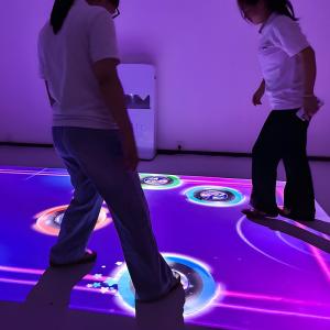 Buy cheap Northern Lights Mobile Interactive Projector with 80 Games product