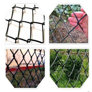 Galvanized Pvc Coated Mesh Rolls Cyclone Wire Chainlink Fence Panels Chain Link