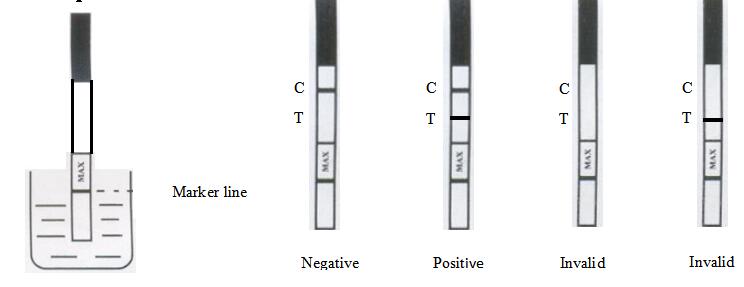 ISO13485 Malaria Test Card Colloidal Gold Rapid Test Malaria Antigen Card Test