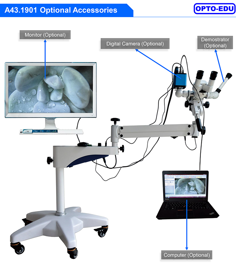 A43.1901 Digital Video Colposcope Universal Stand