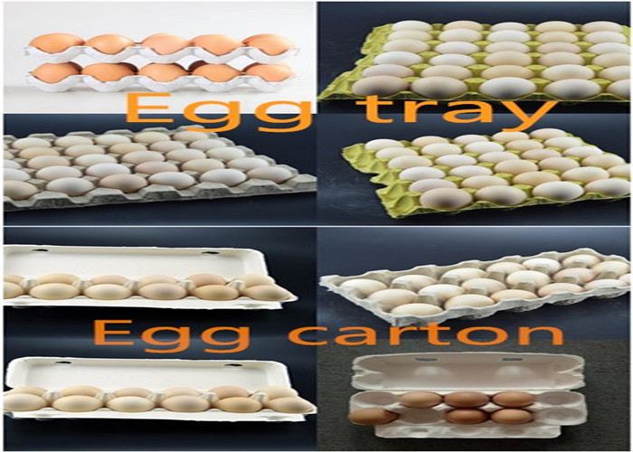 Wanyou High Quality Low Cost Small Waste Paper Pulp Egg Tray Machine