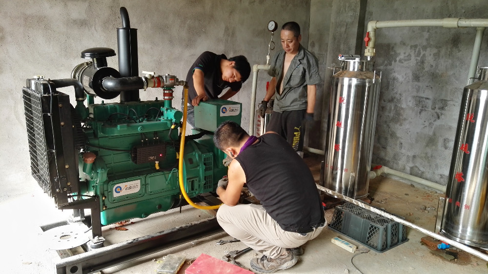 Silent Natural Gas LPG Generator as Home Standby Generator
