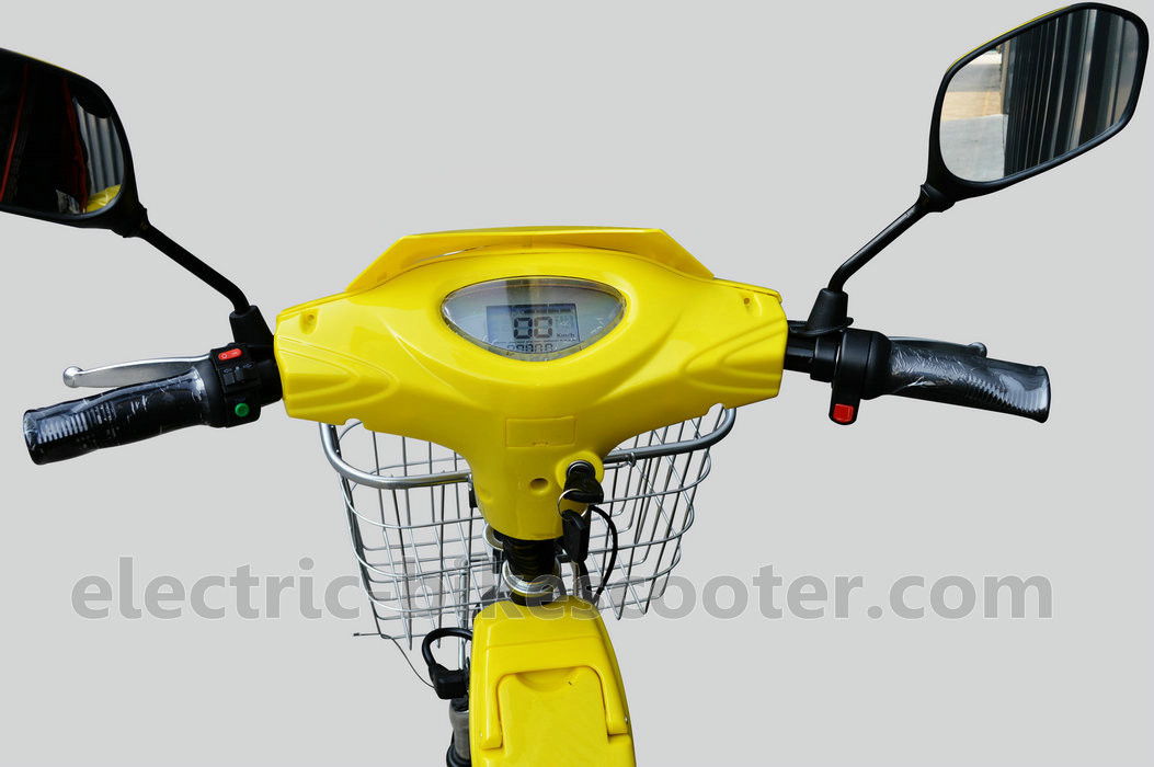 36V 350W Pedal Assist Electric Bike 24 Inch Wheel V Brake Rear Brushless Motor