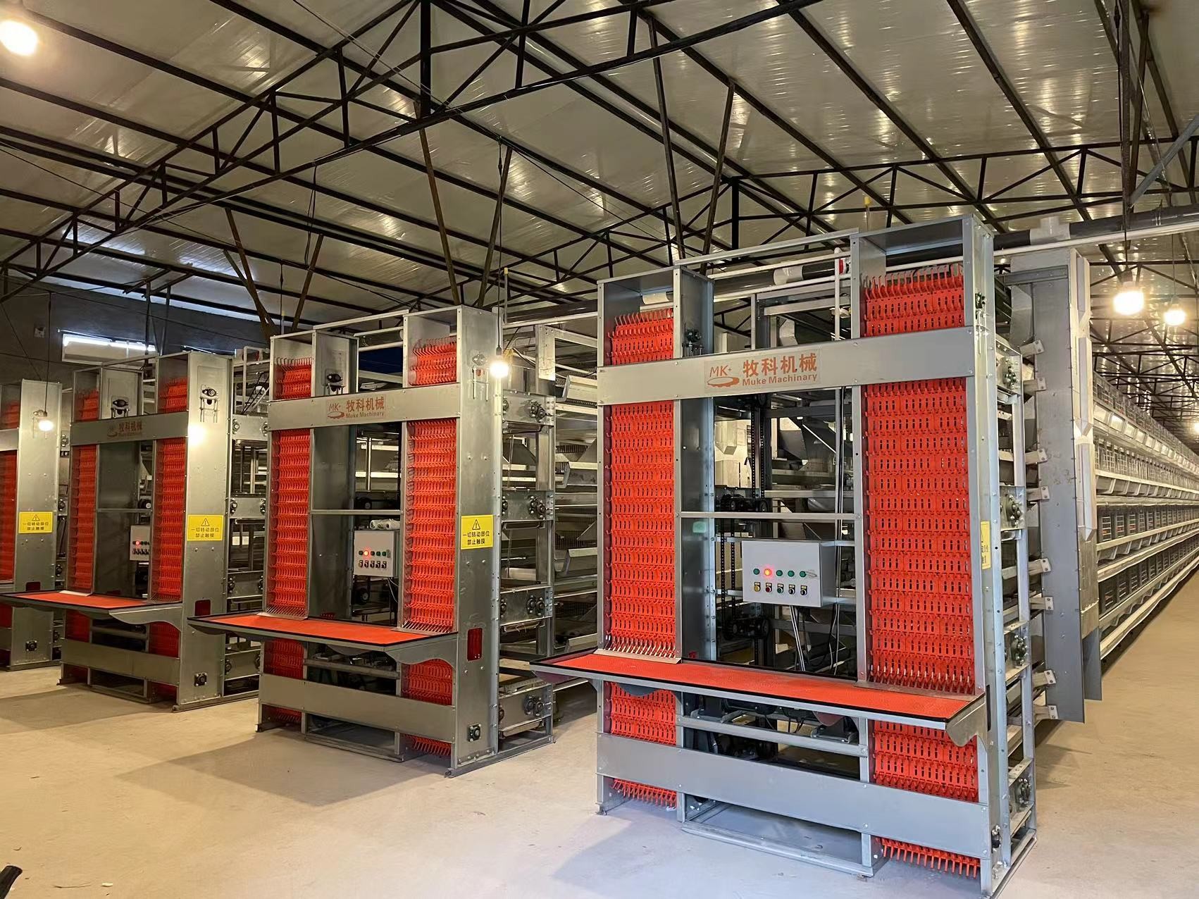 Energy Saving H Type Poultry Cage Driving Smoothly For Poultry Feeding Line