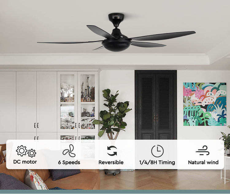 ceiling fan