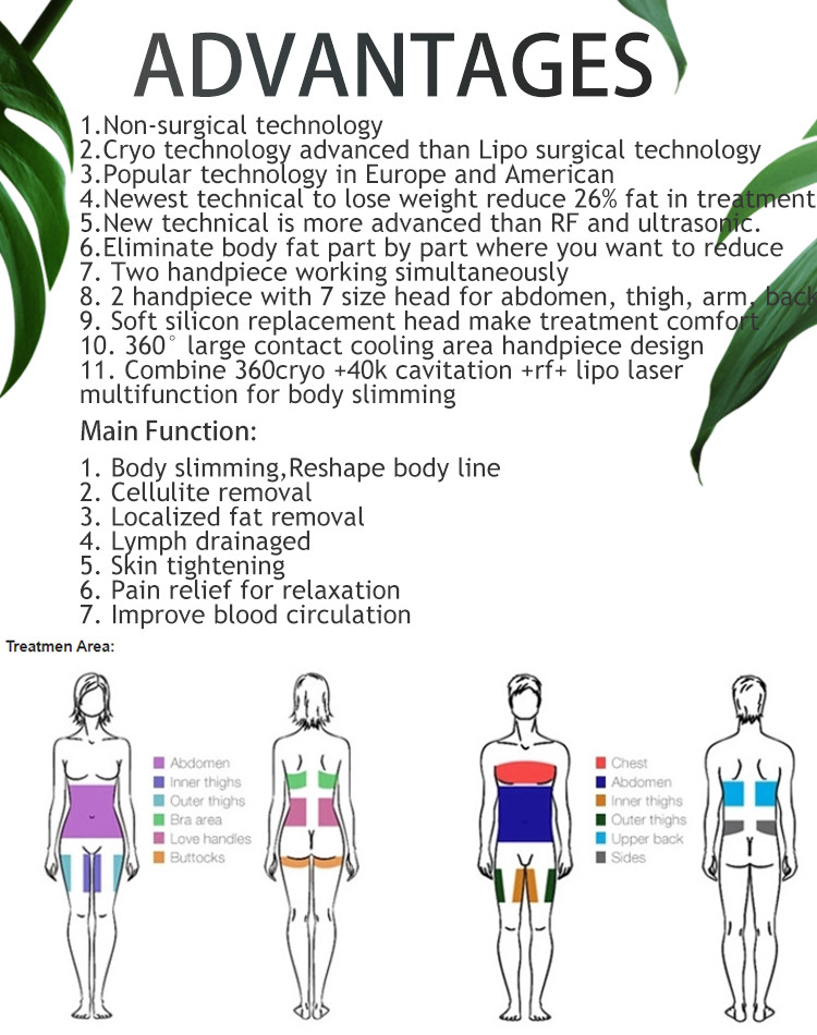 6 in 1 Portable 360 degree cryolipolysis slimming machine Cryo lipo laser cavitation rf Slimming Machine for salon use