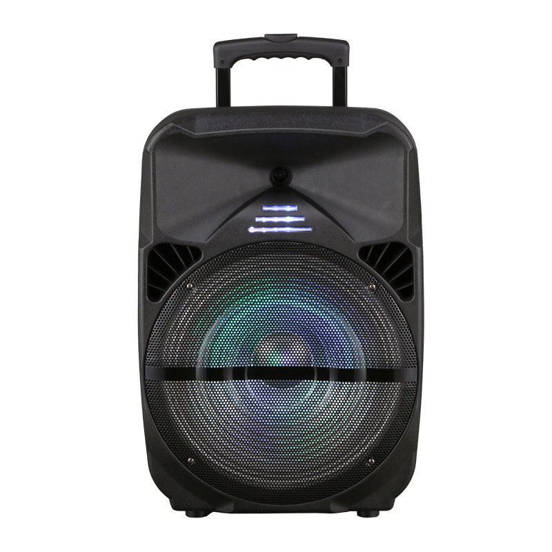 Portable Bluetooth Speaker with 12" Plastic Subwoofer and Microphone