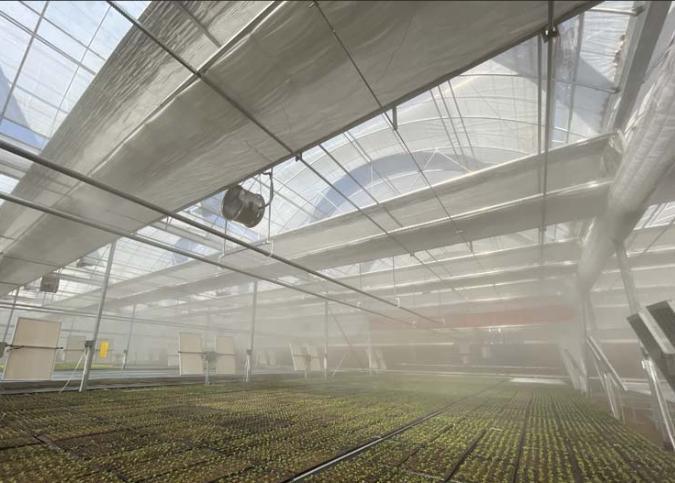 Hydroponics Stromal Humidity Control Multi-Span Seedling Glass Greenhouse