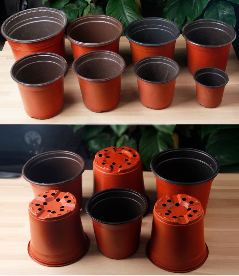 PP Sun Hemp 15cm Width Plastic Flower Pots 12 Drainage Holes