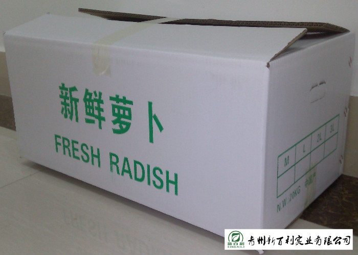 Organic Smooth Surface Fresh White Radish No Moldy Detoxification Function