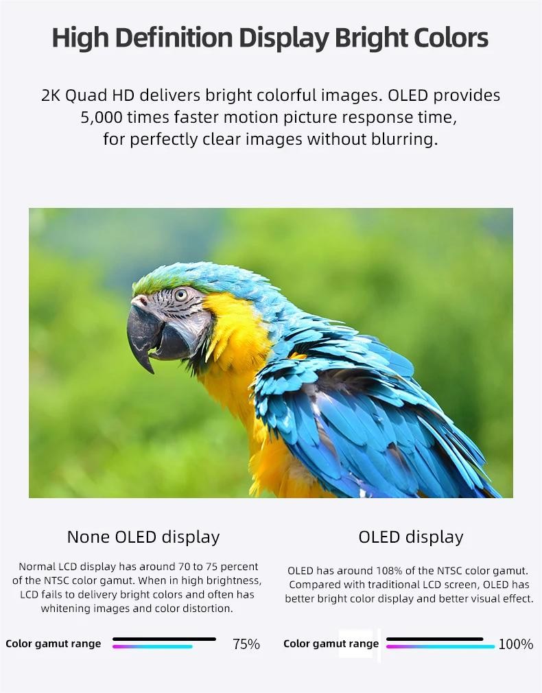 49Inches Transparent OLED Signage Display No Touchscreen 200 Watts Power Consumption