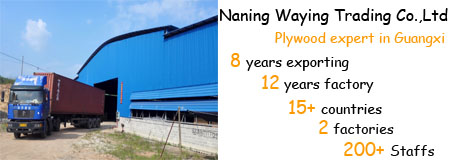 Construction WBP 1220*2440mm Film Faced Shuttering Plywood