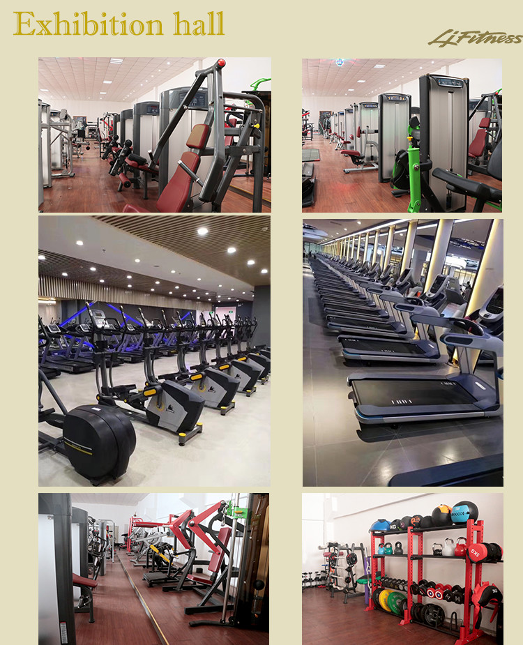 Full Commercial Gym Equipment Hammer Strength Dip Machine With Customizable Color