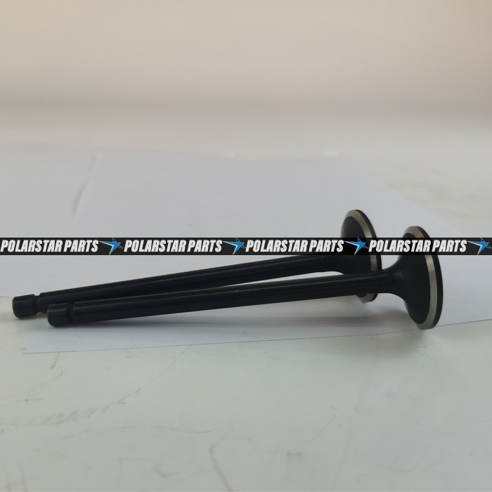 6LTAA9.3 Intake Valve Exhaust Valve 6L ISLe QSL8.9 QSL9 L9.3 3942589 3942588