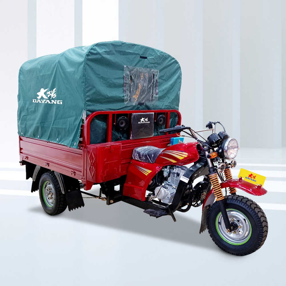 DAYANG Model Prince Cargo Tricycle with Tarp and Fuel Type Gasoline Made in 320 * 80