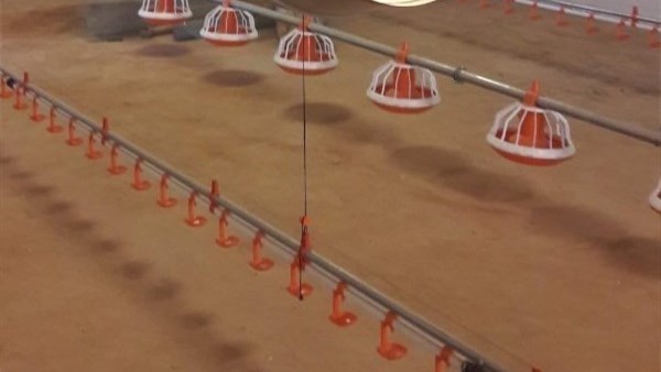 Automatic Poultry Feeder For Broiler