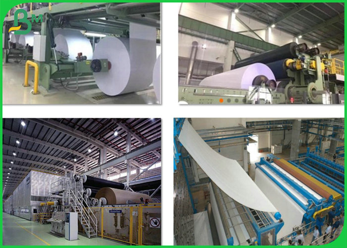 pe coated white kraft paper