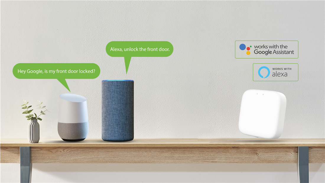 Semi-outdoor keypad wireless BLE 5.0 smart lock, works with alexa & google assistant