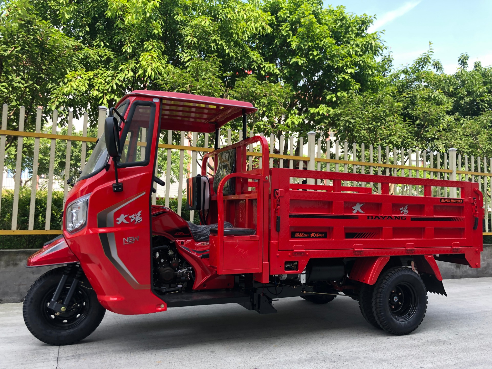 DAYANG Motorized Cargo Trike 201 250CC Three Wheel Engine Tricycle for Heavy Loading