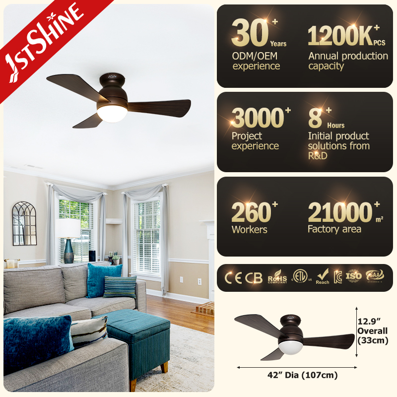 ceiling fan